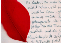 Rote-Feder.gif